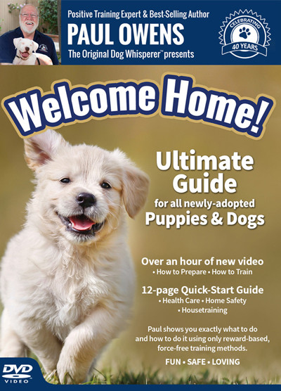 Welcome Home! Ultimate Training Guide for All Newly-Adopted