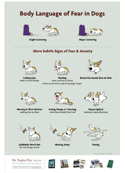 Body Language Of Fear In Dogs 100 Sheet Handout - Dogwise