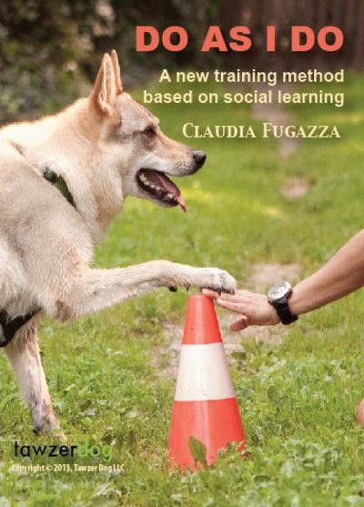 Do As I Do: A New Training Method Based On Social Learning Dvd