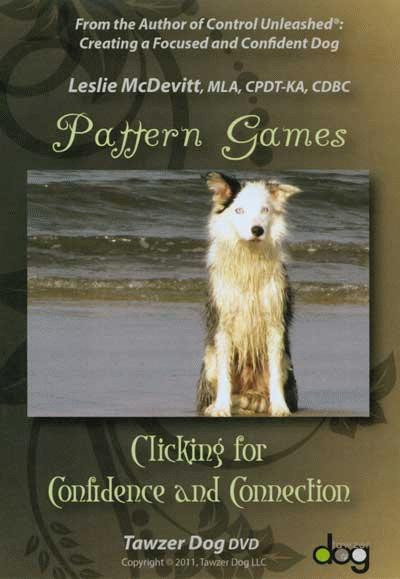 pattern games clicking for confidence and connection dvd dogwise