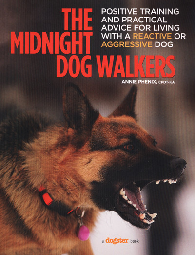 The Midnight Dog Walkers: Positive and Practical Advice for Living