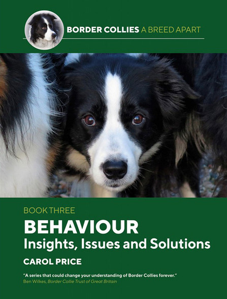Border Collies A Breed Apart Book Three: Behavior Insights, Issues