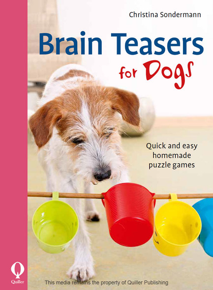 4 EASY Brain Games! 👉 Exercises your dog AT HOME 