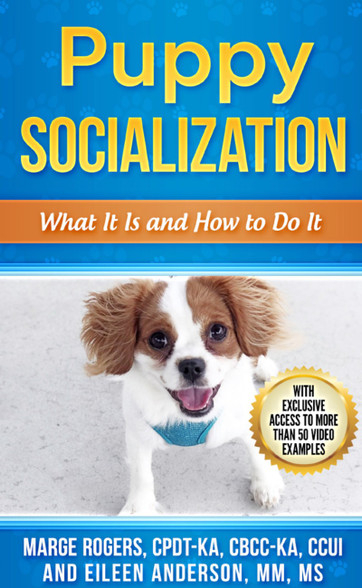 Ebook: Puppy Socialization: What It Is and How to Do It