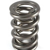 SPR-424-16 Valve Springs