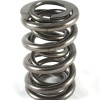 SPR-428-16 Dual Valve Springs