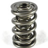 SPR-547-16 Triple Valve Springs