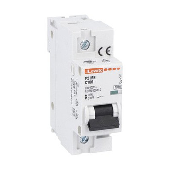 MINIATURE CIRCUIT BREAKER UL1077 1P CURVE C 100A