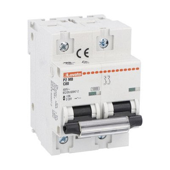 MINIATURE CIRCUIT BREAKER UL1077 2P CURVE C 80A