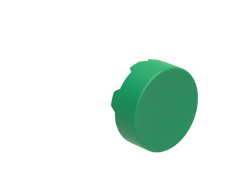 EXT. CAP FOR BODY MOMENT. GREEN