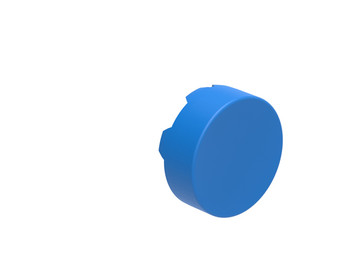 EXT. CAP FOR BODY MOMENT. BLUE