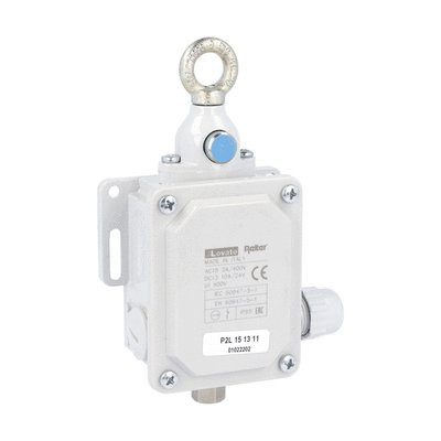 ROPE PULL SWITCH W/RESET BUTTON 2NO+2NC