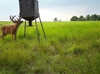 No Compromise Deer Feed - 1000lbs