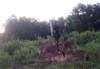 No Compromise Deer Feed - 1000lbs
