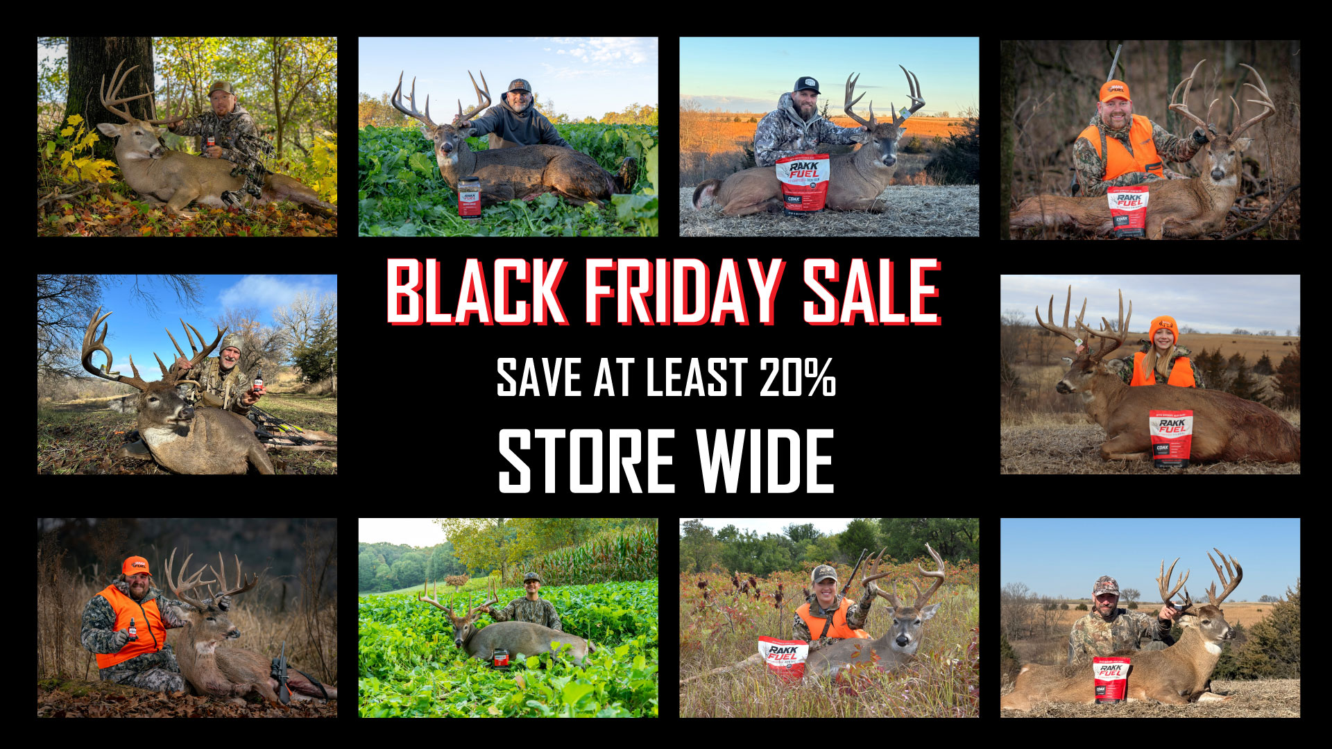 two deer in a forest