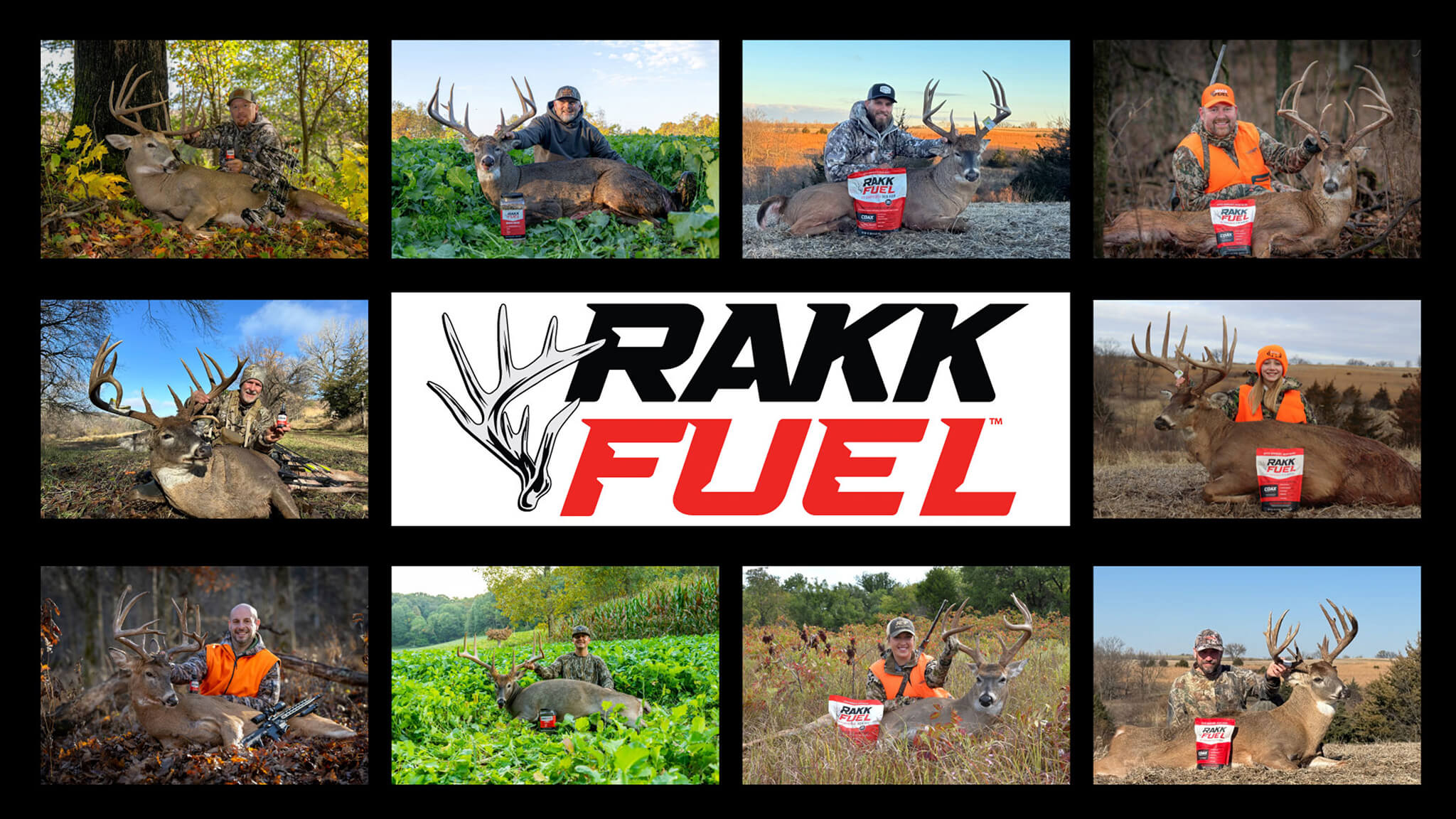 two deer in a forest