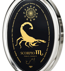 Inspirational Jewelry Necklace Silver Oval Scorpio