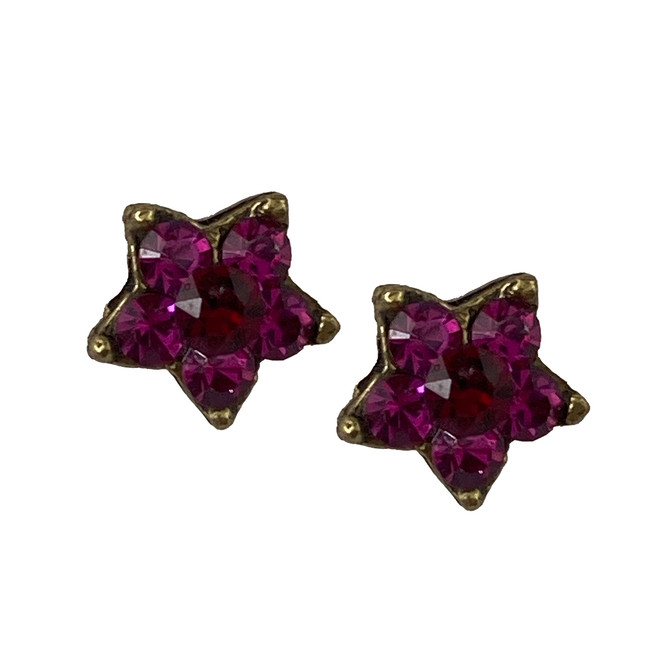 Michal Negrin Small Star Of The Day Stud Hot Pink Earrings