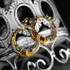 Michal Golan Tiger's Eye Abalone Hoop Earrings
