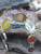 Umul Banin Bracelet, Multi Stone Bracelet, Hadid Bracelet, sharaf al shams bracelet, dure al najaf bracelet, aqeeq bracelet, agate bracelet, black aqeeq barcelet, red aqiq bracelet, green akik bracelet, hirz imam jawad bracelet, ayn ali bracelet, hirz suleiman bracelet, hirz sulaiman bracelet, omol baneen bracelet, umul benin bracelet, umul beneen bracelet, umul baneen bracelet, ladies bracelet, girl bracelet, gift for her, gift for wife, gift for girl, gift for lady, women gift,