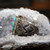 Feroza 925 sterling silver men ring