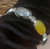 Umul Banin Bracelet, Multi Stone Bracelet, Hadid Bracelet, sharaf al shams bracelet, dure al najaf bracelet, aqeeq bracelet, agate bracelet, black aqeeq barcelet, red aqiq bracelet, green akik bracelet, hirz imam jawad bracelet, ayn ali bracelet, hirz suleiman bracelet, hirz sulaiman bracelet, omol baneen bracelet, umul benin bracelet, umul beneen bracelet, umul baneen bracelet, ladies bracelet, girl bracelet, gift for her, gift for wife, gift for girl, gift for lady, women gift,