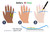 Measuring your finger ring size at home