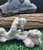 Turquoise Nishapur ajami, 925 silver sterling ladies ring, Shia Muslim Feroza Ring,