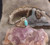 Bague homme en argent sterling 925 avec turquoise Neyshaburi shajari