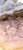 Turquoise Neyshaburi Shajari 925 silver sterling kids ring real