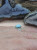 Turquoise Neyshaburi Ajami 925 silver sterling kids ring, Feroza Nishapur Shia Muslim Jewellery,