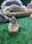 Women Genuine Feroza Nishapuri 925 Sterling Silver Pendant