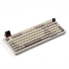Epomaker RT100 RGB Wireless Hot-Swappable Mechanical Keyboard - White, Flamingo Switch, 97 Key