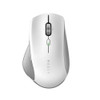 Razer Pro Click Wireless Mouse - High Precision Ergonomic