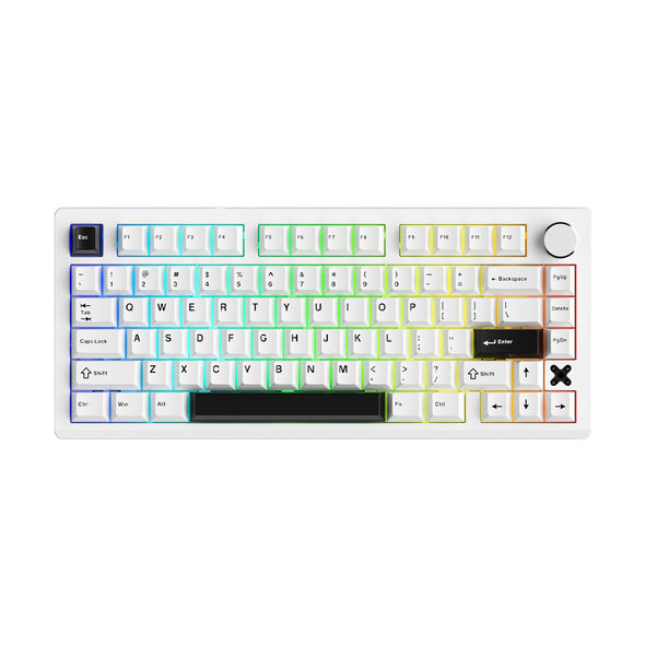 DAREU Flex 75 RGB Hot-Swappable Wireless Gaming Keyboard - White Black, Pegasus Switches, 79 keys Flex 75 White Black