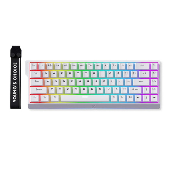 MCHOSE Ace 68 RGB Hot-Swappable Wired Gaming Keyboard - White, Ice Blue Magnetic Switch, 68 keys HW-Ace68-15