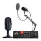 Game Capture & Streaming