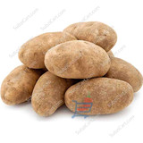 Idaho Potato / LB
