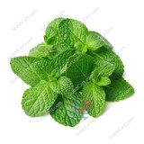 Mint Leaves/ Each  Frozen,