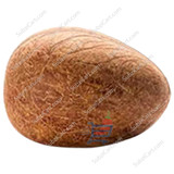 Dry Coconut Whole, 1 Piece