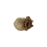 Himalayan Delight Jadibuti Giloy Powder, 100 Grams