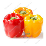 Mix Pepper / Each