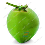 Green Coconut / Each