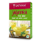 Satvam Jaljeera Masala, 100 Grams