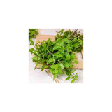Store Brand Mint Leaves Whole, 29 Grams