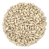 Store Brand Sunflowers Seeds Plain, 14 Oz