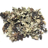 Store Brand Dagar Phool, 50 Grams