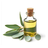 Herbi Eucalyptus Oil , 28 Grams
