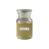 Yrs Camphore Oil, 10 ML