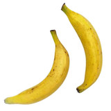 Yellow Plantain / Each